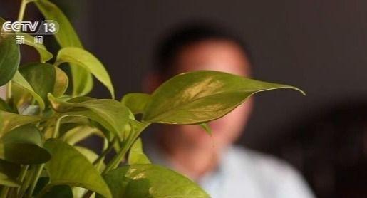 1580万元存款不翼而飞！银行为了推卸责任 奇怪操作居然有这么多……