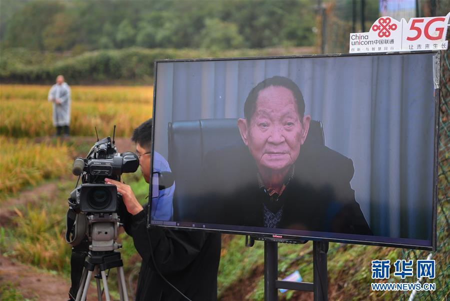新纪录！袁隆平团队杂交水稻双季亩产突破1500公斤