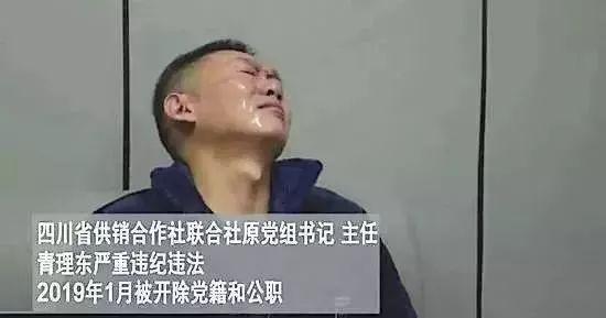 奇葩！戏精贪官为扮演清官，将母亲派往街上捡垃圾